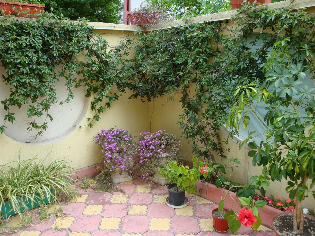 Stela Guest House Carevo Szoba fotó