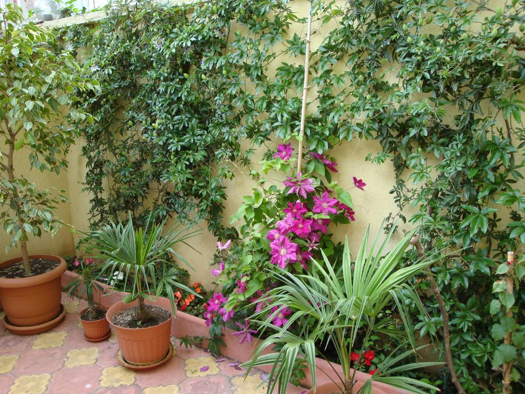 Stela Guest House Carevo Kültér fotó